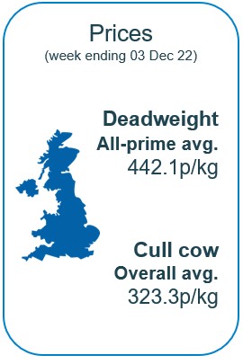 Infographic of cattle prices
